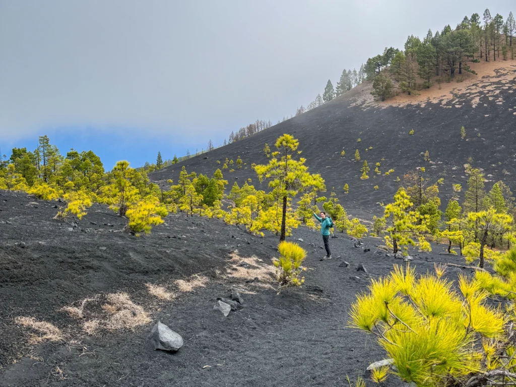 Ruta de los volcanes en La Palma, un imprescindible si te gusta el senderismo