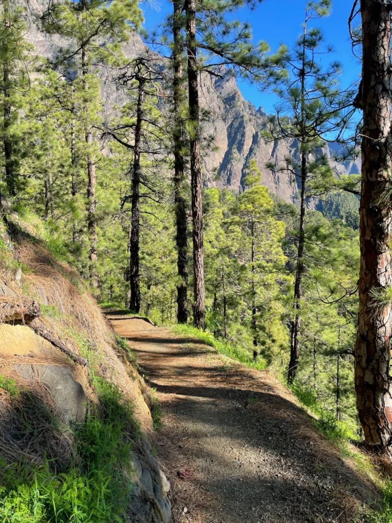 Senderos en el primer tramo de la ruta por la Caldera de Taburiente