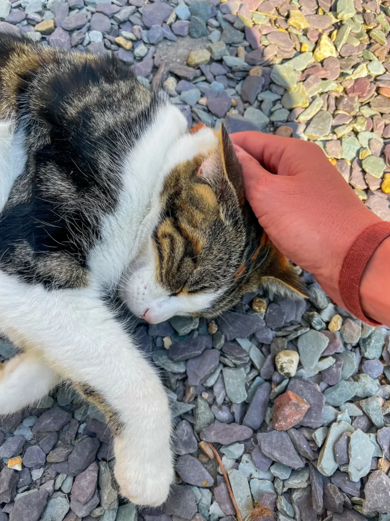 Hay experiencias que solo se pueden vivir con el intercambio de casas