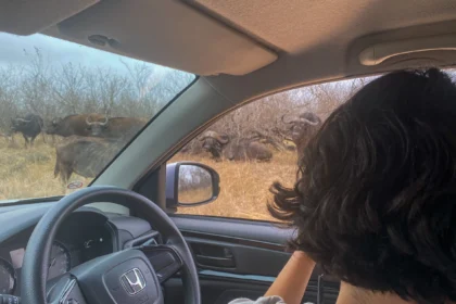 Consejos para recorrer Sudáfrica en coche de alquiler