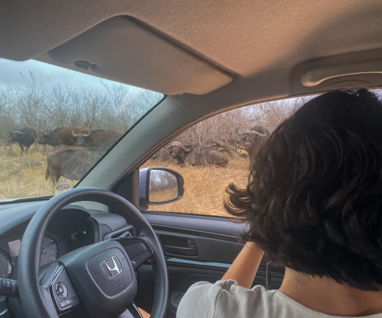 Consejos para recorrer Sudáfrica en coche de alquiler