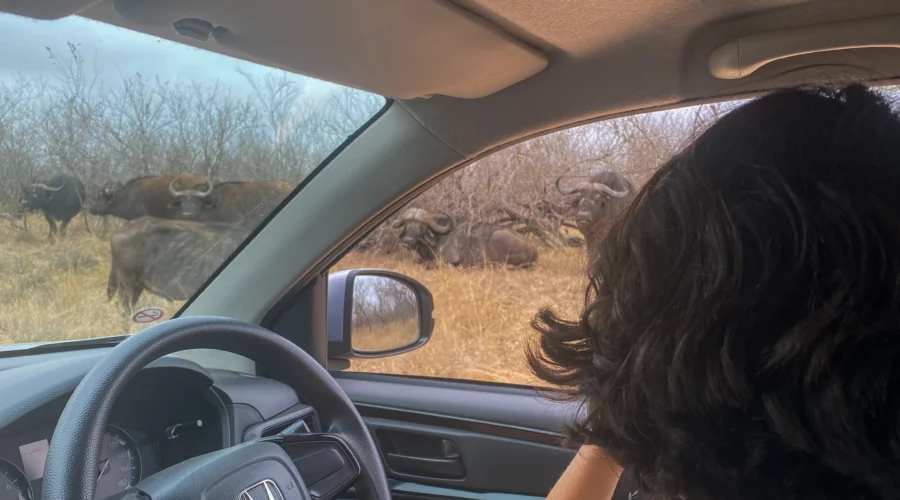 Consejos para recorrer Sudáfrica en coche de alquiler