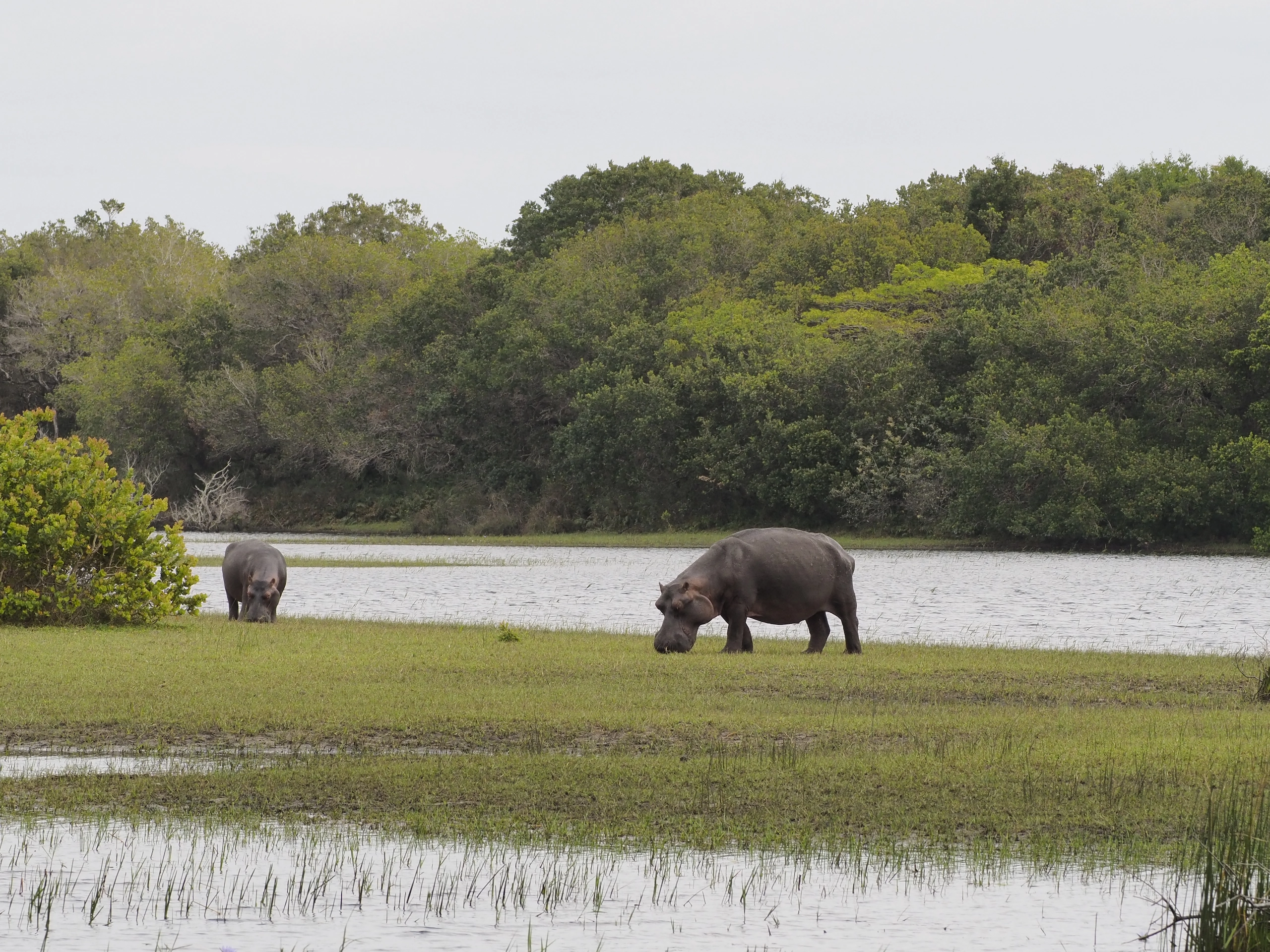 Mejor época para viajar a Sudáfrica