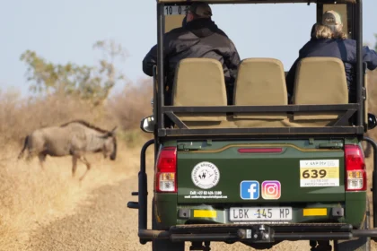 No necesitas un 4x4 para hacer safaris en Sudáfrica