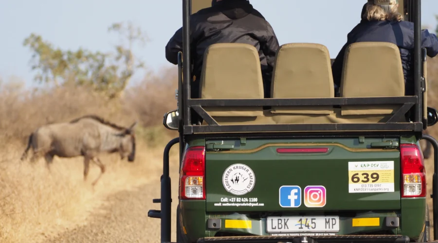 No necesitas un 4x4 para hacer safaris en Sudáfrica