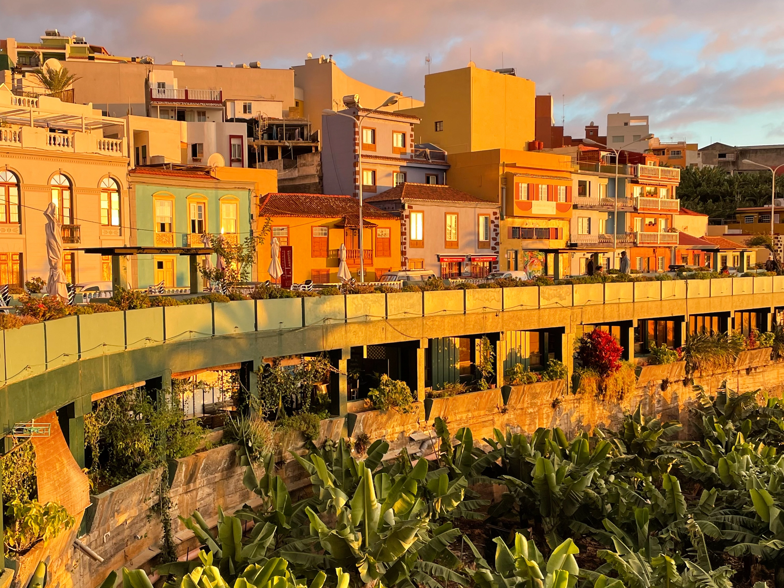 Donde alojarse en La Palma: zona Oeste