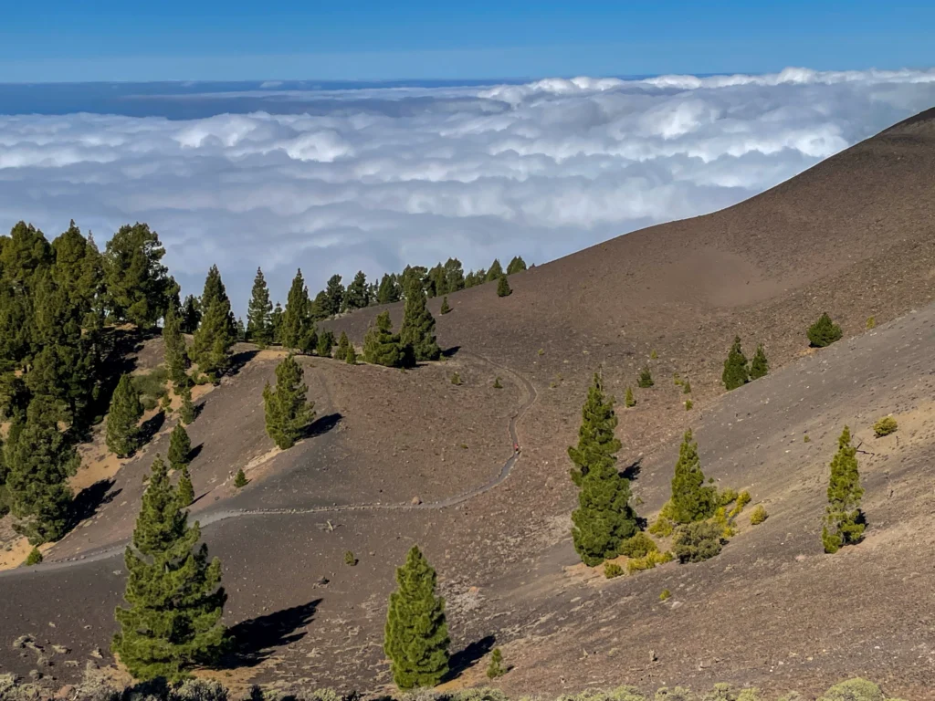 Ruta de los volcanes en La Palma, un imprescindible si te gusta el senderismo