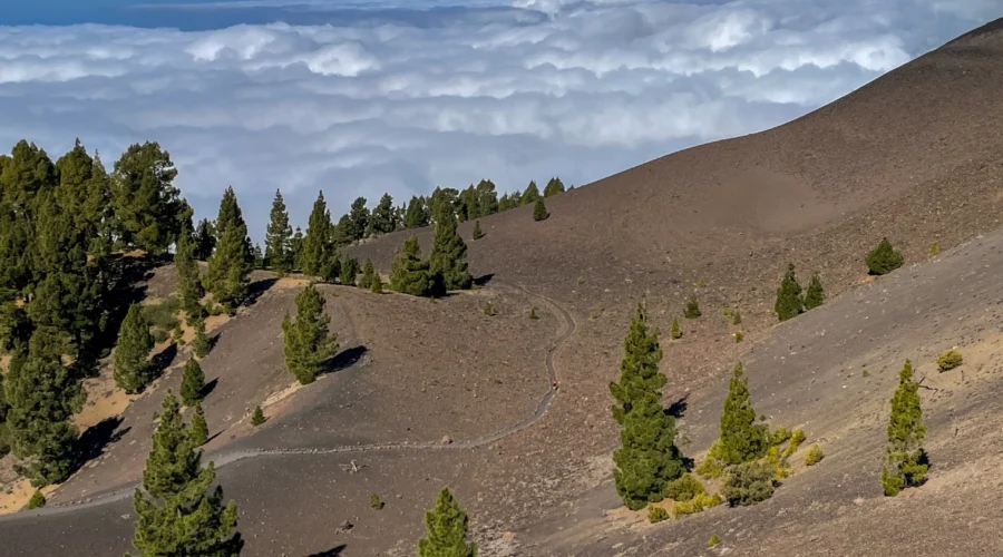 Ruta de los volcanes en La Palma, un imprescindible si te gusta el senderismo