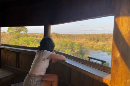 Hide en el Kruger, ideal para avistar aves, en algunos se puede pasar la noche