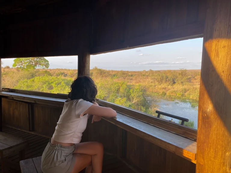 Hide en el Kruger, ideal para avistar aves, en algunos se puede pasar la noche