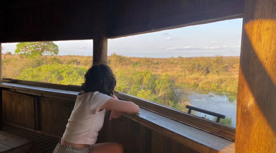 Hide en el Kruger, ideal para avistar aves, en algunos se puede pasar la noche