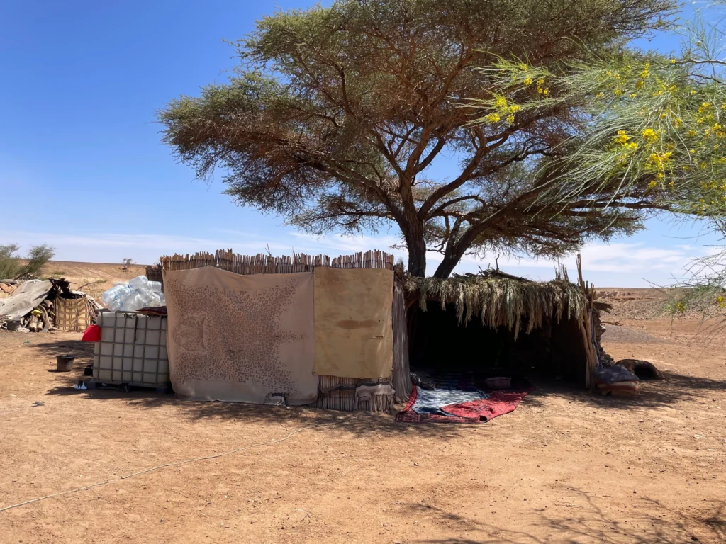 Poblado nómada en el desierto de Zagora