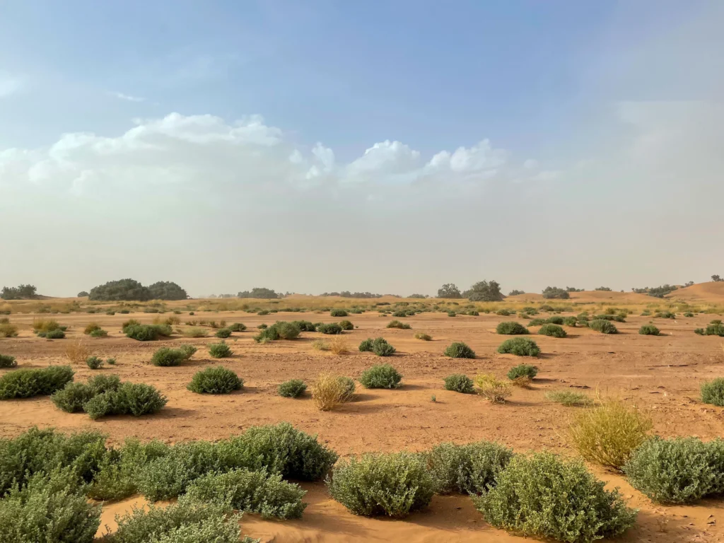 Disfrutar del camino a las dunas de Erg Chigaga desde M'hamid, es parte de la aventura