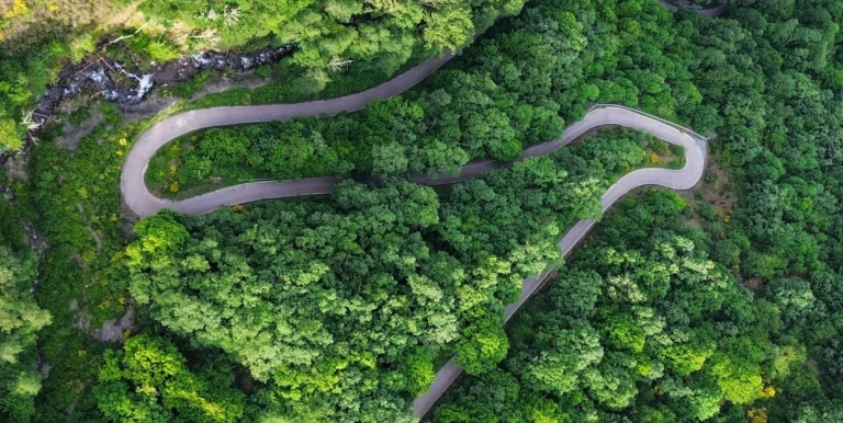 Mejores comparadores de alquiler de coches