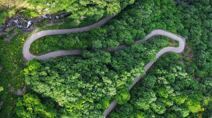 Mejores comparadores de alquiler de coches