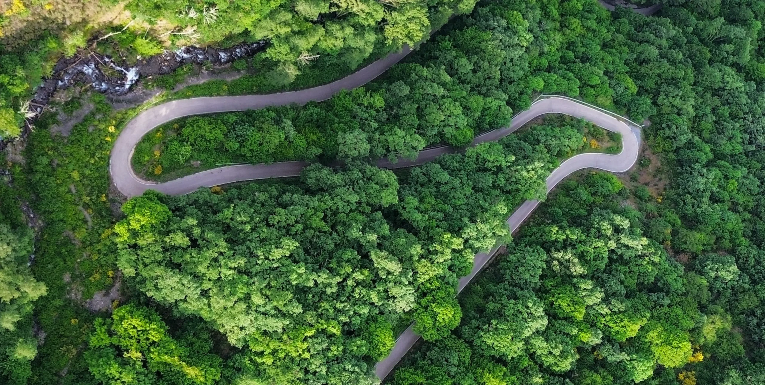 Mejores comparadores de alquiler de coches