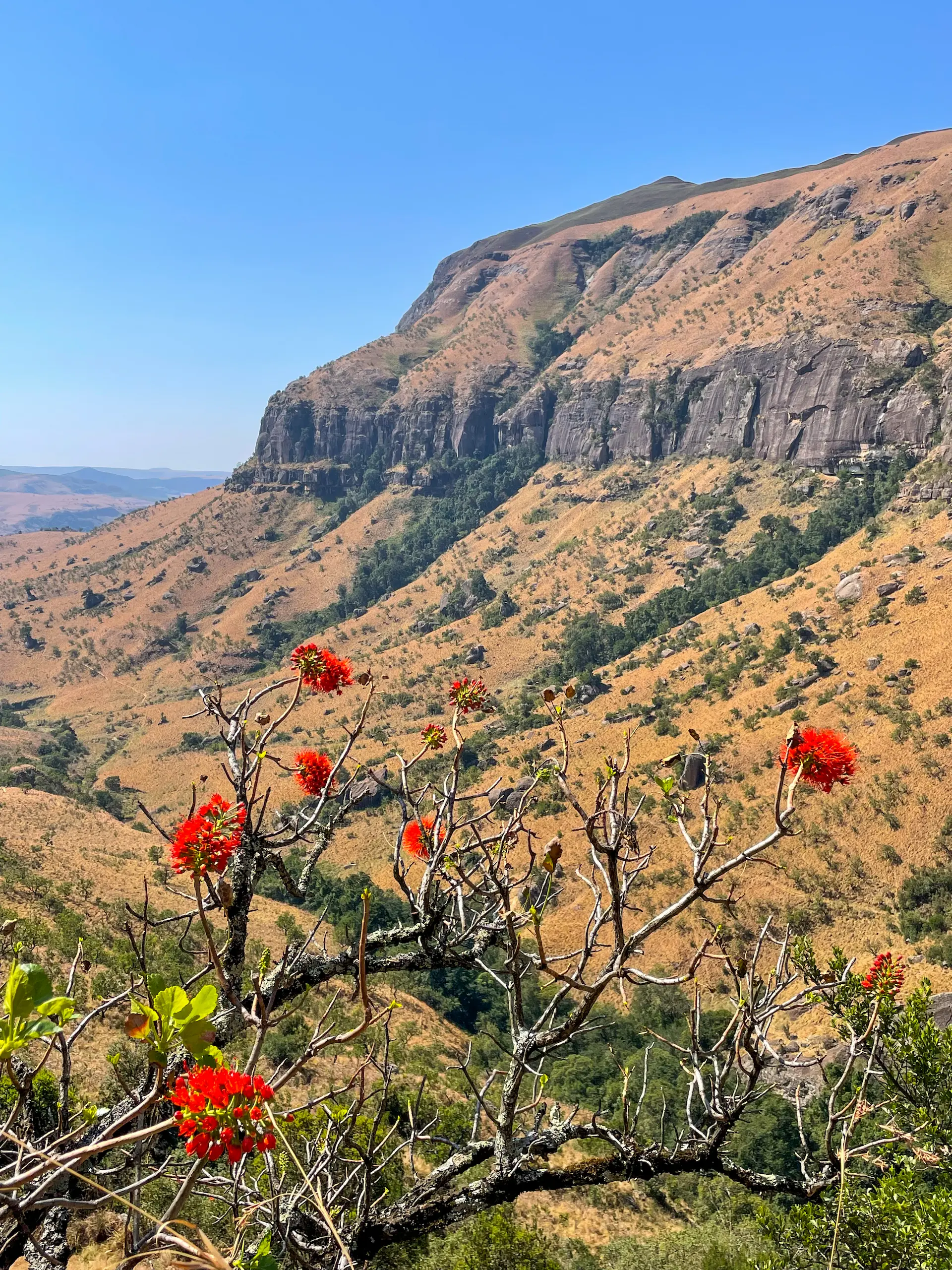 Vistas de la ruta por Cathedral Peak en invierno